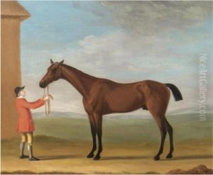 Mr Jenison Shafto's Bay Racehorse 
Goldfinder