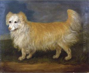 A Favourite Dog by J. Francis Sartorius