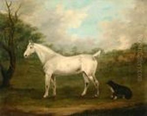 Dappled Grey Hunter With Sheep Dog In A Field by J. Francis Sartorius