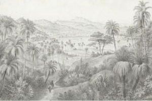 View Of The Yumuri Valley, Near Matanzas, Cuba by Hubert Sattler