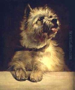 Cairn Terrier by George Earl