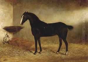 Bob, a black horse in a stable by George Earl