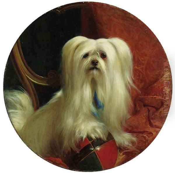 Mopsey, a drop-eared Skye terrier - view 1