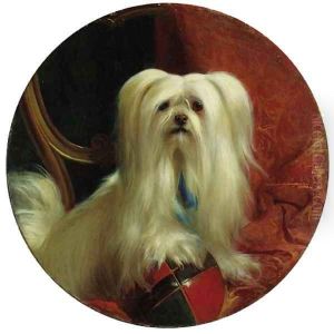 Mopsey, a drop-eared Skye terrier by George Earl