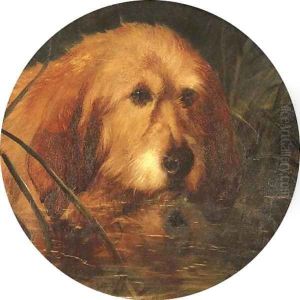An Otterhound in Reeds by George Earl