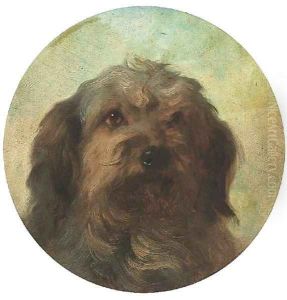 The head of a collie by George Earl
