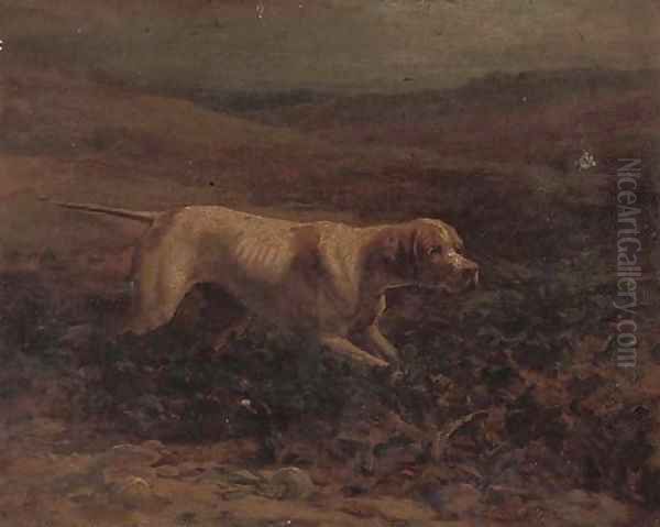Duchess, a pointer - view 1