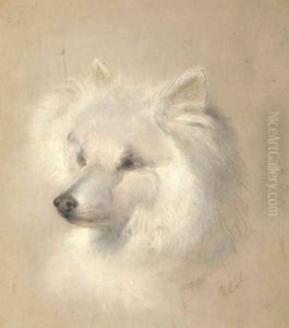 Lady Jane, a pomeranian by George Earl