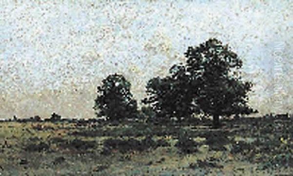 Paysage - view 1