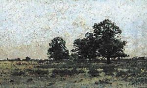 Paysage Paysage