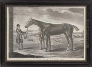 Firetail The Property Of Thomas Foley Esq by Robert Sayer
