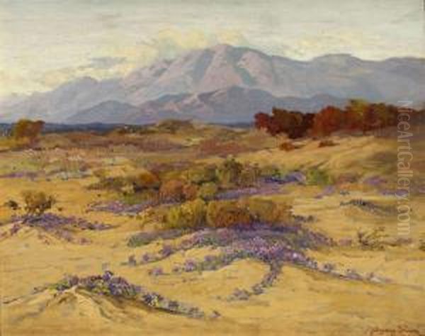Verbena Fields - view 1