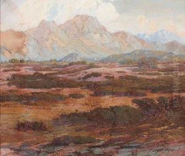 Desert Lure - view 1