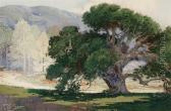 Oak Tree - view 1