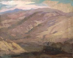 Desert Hills by Fred Grayson Sayre