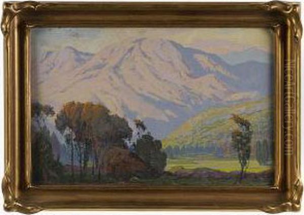 California Hillside. - view 1