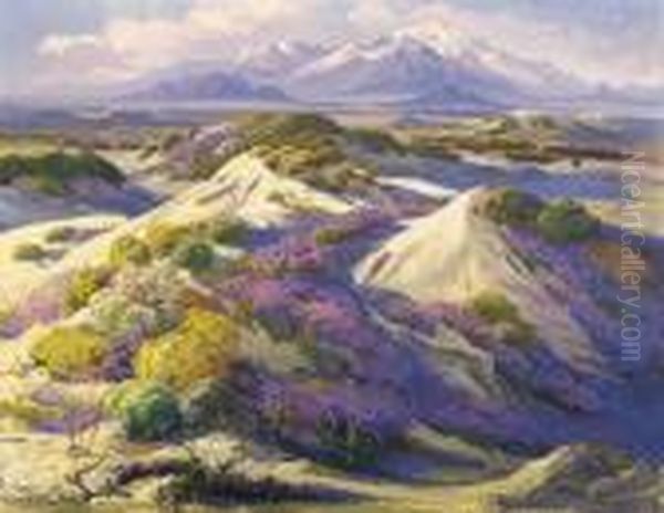 Verbena Clad Dunes - view 1