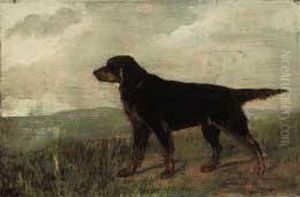 Cane Da Caccia by Giuseppe Michele Scaglia