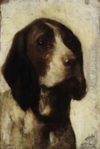 Testa Di Bracco Italiano by Giuseppe Michele Scaglia