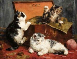 Kittens at Play