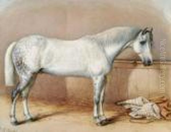 A Stabled Dappled Gray - view 1