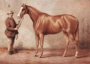A Chestnut Racehorse In His Stable With His Groom