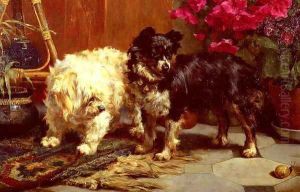 Surprise ! by Charles van den Eycken