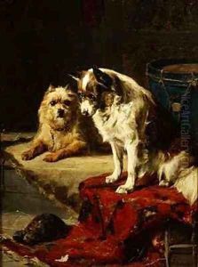 Dogs and a Tortoise