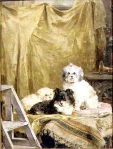 Three Dogs