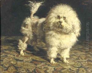 Pedro portrait of a poodle