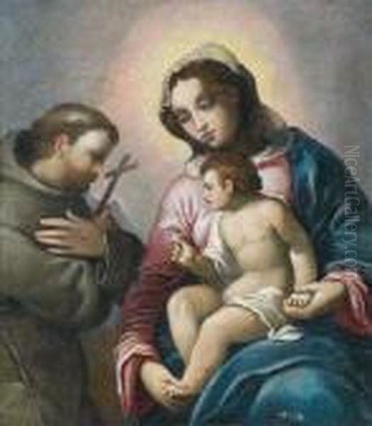 Madonna Con Bambino E San Francesco - view 1