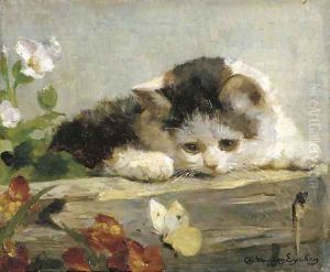 Chat a difficult catch by Charles van den Eycken