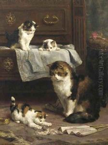 In the boudoir