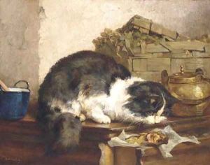 A cat in the kitchen