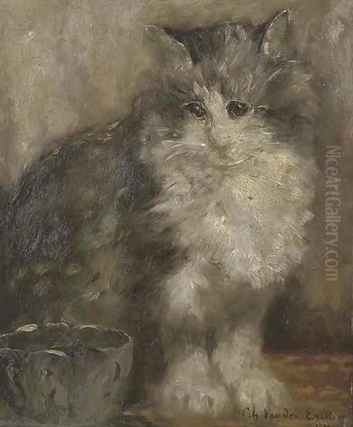 The contented cat - view 1
