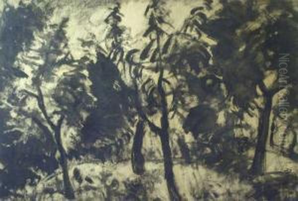 Erdo - view 1
