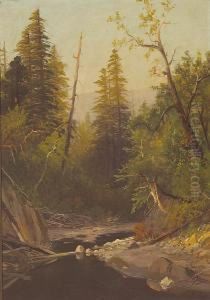 Near Felton, Santa Cruz Mountains,california by Frederick Ferdinand Schafer