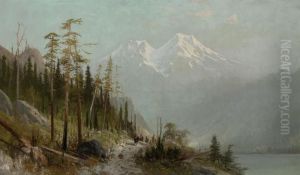 Mount Shasta by Frederick Ferdinand Schafer
