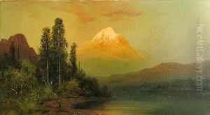 Mt. Shasta