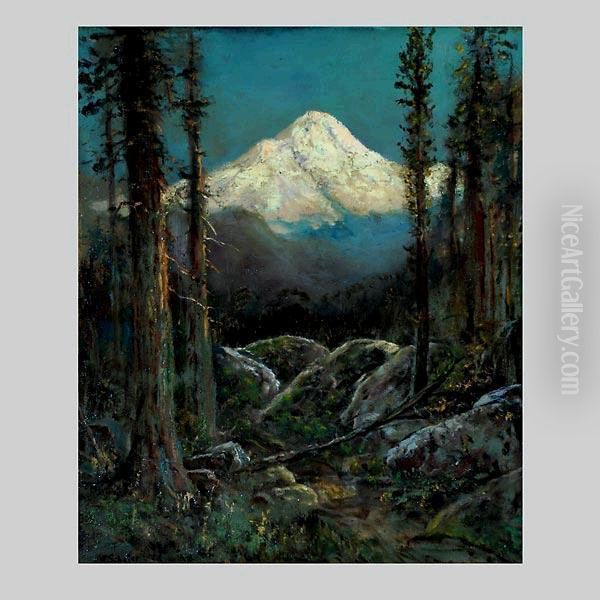 Mr.shasta. - view 1