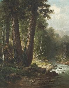 On Boulder Creek, Santa Cruz Mountains, California by Frederick Ferdinand Schafer