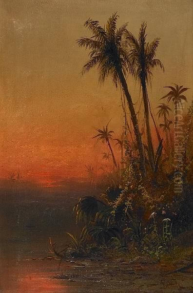 Evening On The Amazon River - view 1