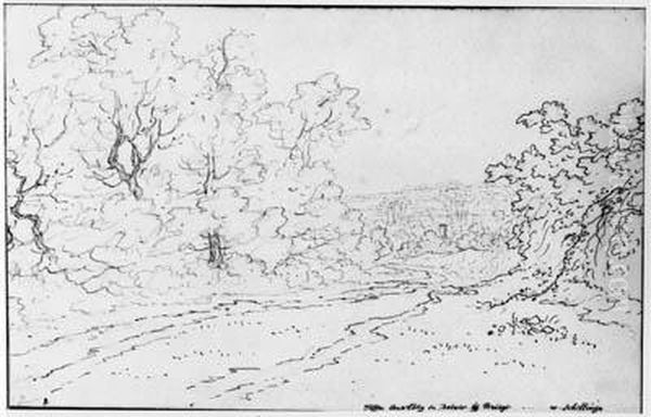 A Wooded Road Between Canterbury And Dover, England - view 1