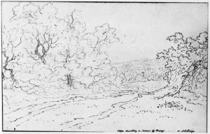 A Wooded Road Between Canterbury And Dover, England by Willem Schellinks