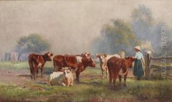 Early Morning, Milking Time - view 1