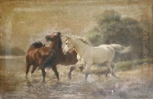 Horses Bolting