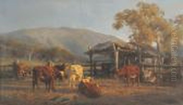 Cattle In The Yards - view 1
