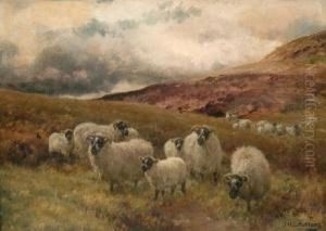 Grazing Sheep by Jan Hendrik Scheltema