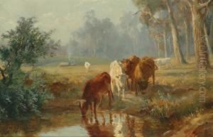 Cattle At The Stream Cattle At The Stream