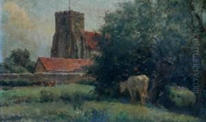 Cows In A Church Yard